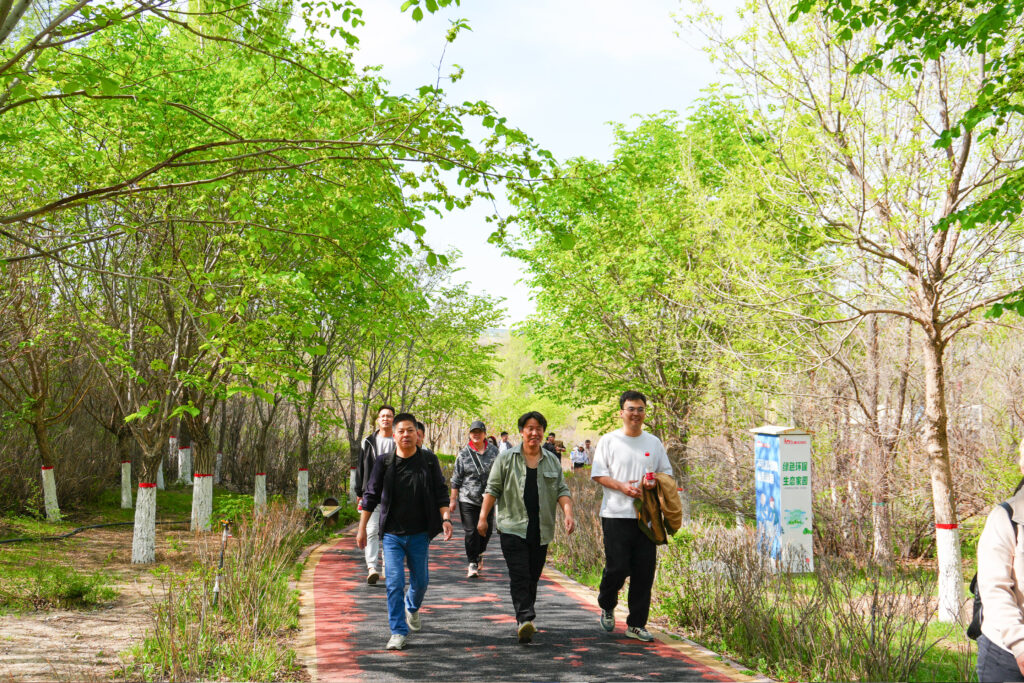 绿径同行·步筑新途 | 亿兆体育物流团队徒步团建之旅